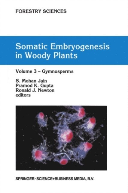 R.J. Newton, Pramod P.K. Gupta, S. Mohan Jain - Somatic Embryogenesis in Woody Plants, E-bok