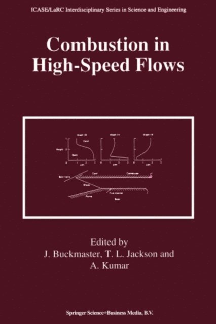 Ajay Kumar, Thomas L. Jackson, John Buckmaster - Combustion in High-Speed Flows, E-bok