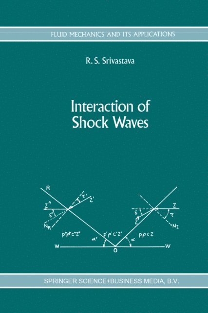 R. S. Srivastava - Interaction of Shock Waves, E-bok