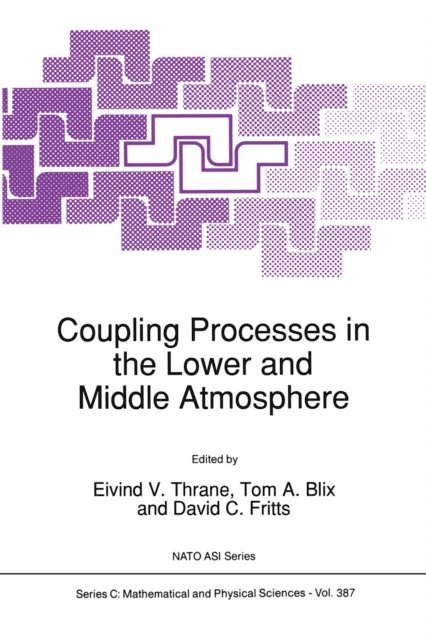 David C. Fritts, Tom A. Blix, E.V. Thrane - Coupling Processes in the Lower and Middle Atmosphere, E-bok