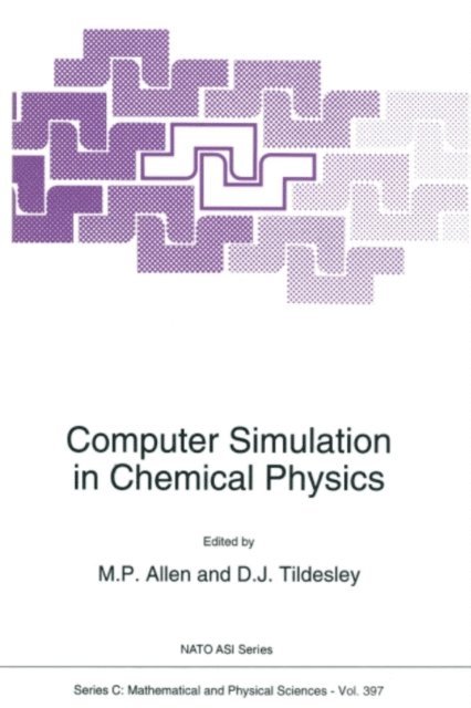 D.J. Tildesley, M.P. Allen - Computer Simulation in Chemical Physics, E-bok