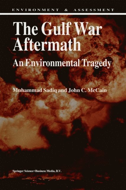 J.C. McCain, M. Sadiq - Gulf War Aftermath, E-bok