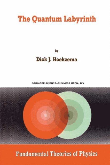 D.J. Hoekzema - Quantum Labyrinth, E-bok