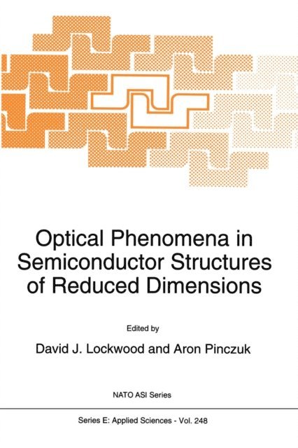 Aron Pinczuk, D.J. Lockwood - Optical Phenomena in Semiconductor Structures of Reduced Dimensions, E-bok