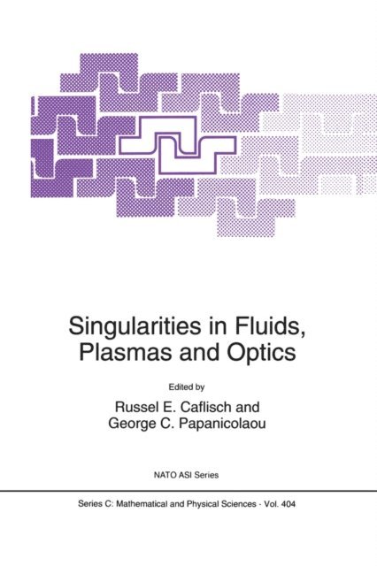 George C. Papanicolaou, Russel Caflisch - Singularities in Fluids, Plasmas and Optics, E-bok