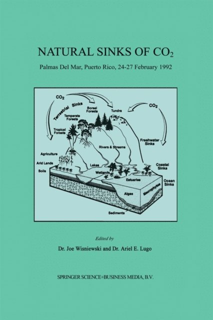 Ariel E. Lugo, Joe Wisniewski - Natural Sinks of CO2, E-bok