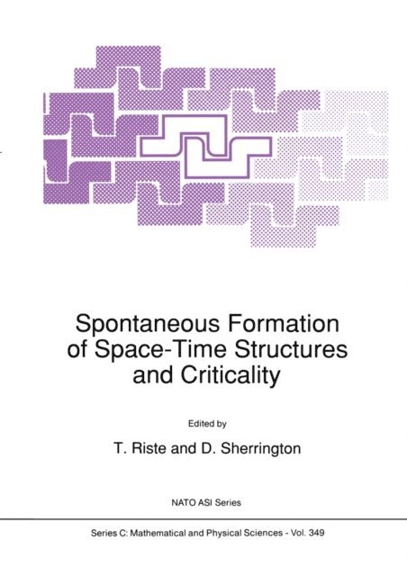David Sherrington, T. Riste - Spontaneous Formation of Space-Time Structures and Criticality, E-bok