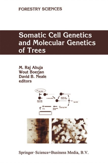 David B. Neale, Wout Boerjan, M.R. Ahuja - Somatic Cell Genetics and Molecular Genetics of Trees, E-bok