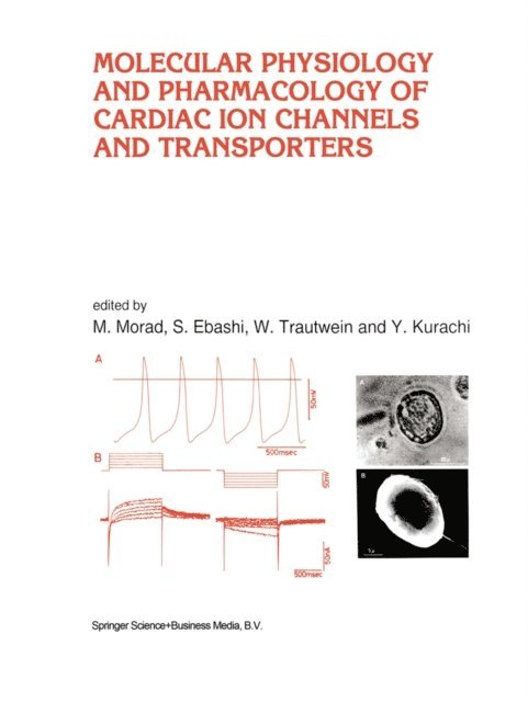 Yoshihisa Kurachi, W. Trautwein, S. Ebashi, M. Morad - Molecular Physiology and Pharmacology of Cardiac Ion Channels and Transporters, E-bok