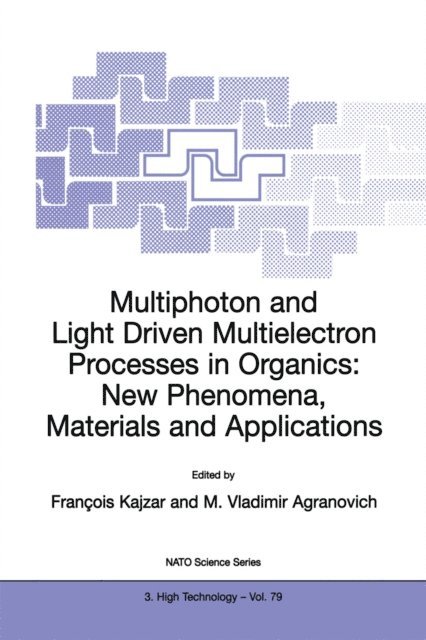 Vladimir M. Agranovich, F. Kajzar - Multiphoton and Light Driven Multielectron Processes in Organics: New Phenomena, Materials and Applications, E-bok