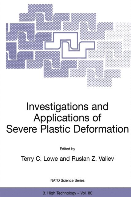 Ruslan Z. Valiev, Terry C. Lowe - Investigations and Applications of Severe Plastic Deformation, E-bok