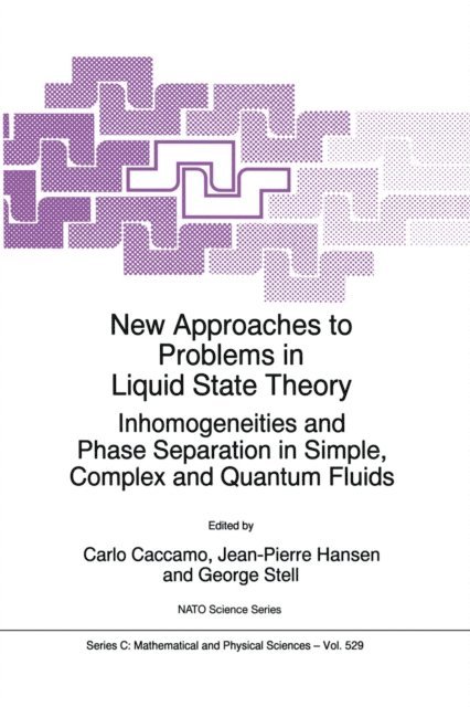 George Stell, Jean-Pierre Hansen, Carlo Caccamo - New Approaches to Problems in Liquid State Theory, E-bok