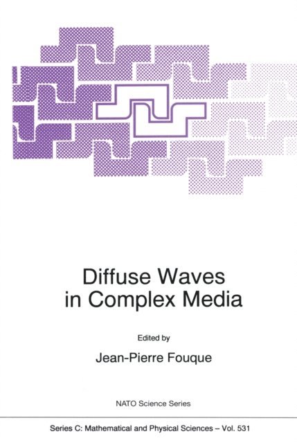 Jean-Pierre Fouque - Diffuse Waves in Complex Media, E-bok