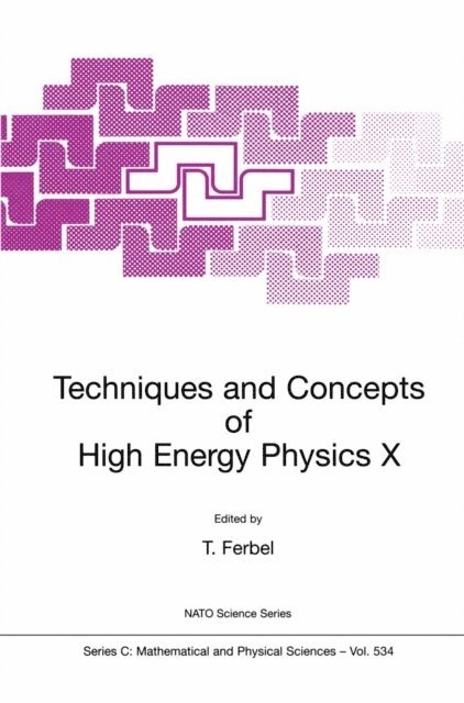 Thomas Ferbel - Techniques and Concepts of High Energy Physics X, E-bok