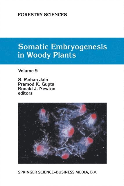 R.J. Newton, Pramod P.K. Gupta, S.M. Jain - Somatic Embryogenesis in Woody Plants, E-bok