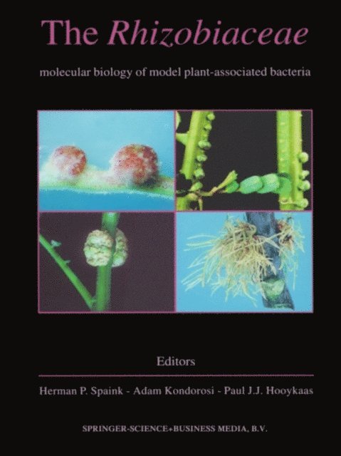 Paul J.J. Hooykaas, Adam Kondorosi, Herman P. Spaink - Rhizobiaceae, E-bok