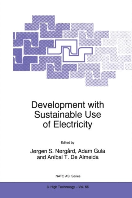 A. de Almeida, Adam Gula, Jorgen S. Norgard - Development with Sustainable Use of Electricity, E-bok