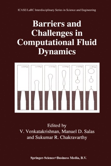 Sukumar R. Chakravarthy, Manuel D. Salas, V. Venkatakrishnan - Barriers and Challenges in Computational Fluid Dynamics, E-bok
