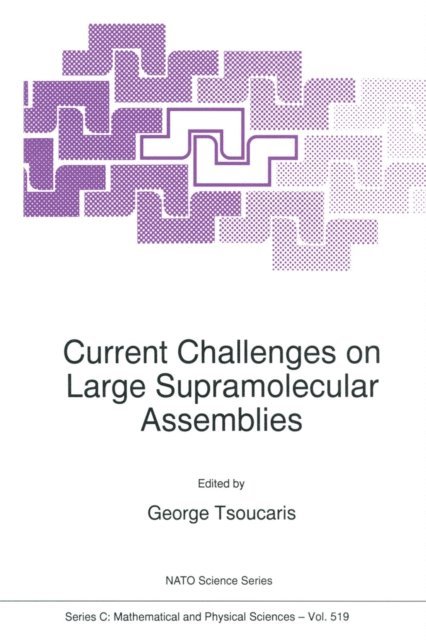 Georges Tsoucaris - Current Challenges on Large Supramolecular Assemblies, E-bok