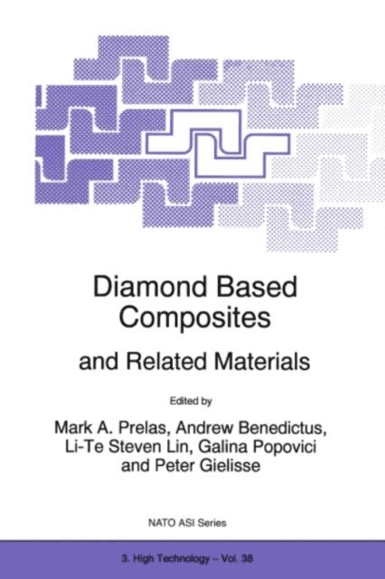 Peter Gielisse, Galina Popovici, Li-Te Steven Lin, Andrew Benedictus, Mark A. Prelas - Diamond Based Composites, E-bok