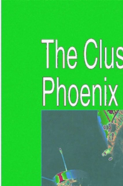 C.T. Russell, R. Schmidt, C.P. Escoubet - Cluster and Phoenix Missions, E-bok