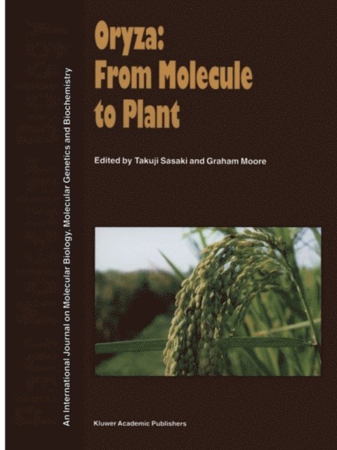 Graham Moore, Takuji Sasaki - Oryza: From Molecule to Plant, E-bok