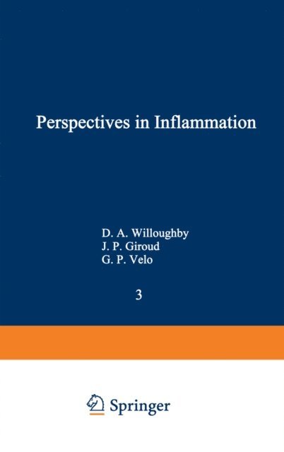 G.P Velo, J.P. Giroud, D.A. Willoughby - Perspectives in Inflammation, E-bok