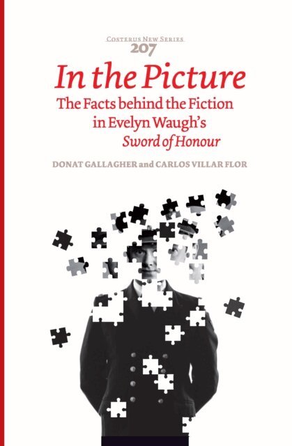 Carlos Villar Flor, Donat Gallagher - In the Picture, E-bok