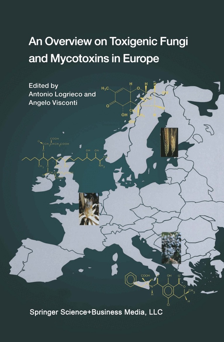 Antonio Logrieco, Angelo Visconti - Overview on Toxigenic Fungi and Mycotoxins in Europe, Häftad