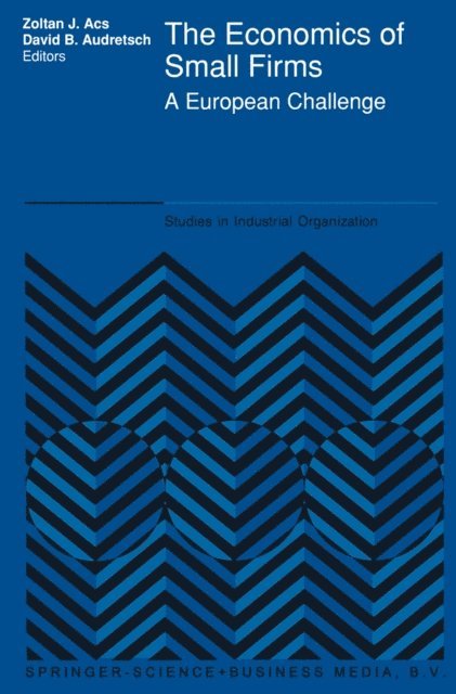 David B. Audretsch, Stephen Ackermann - Economics of Small Firms, E-bok