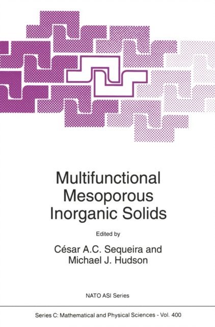 Michael J. Hudson, Cesar A.C. Sequeira - Multifunctional Mesoporous Inorganic Solids, E-bok