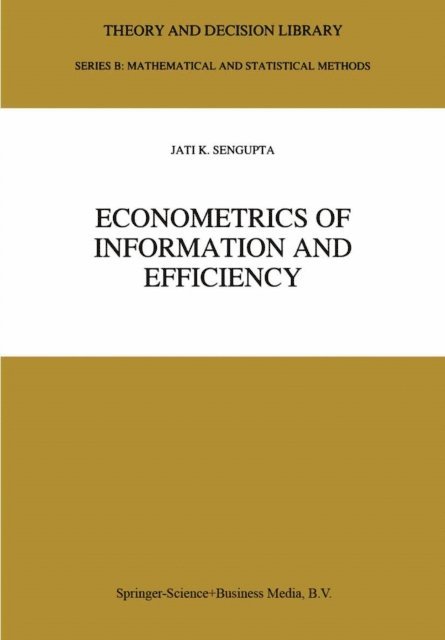 Jati Sengupta - Econometrics of Information and Efficiency, E-bok