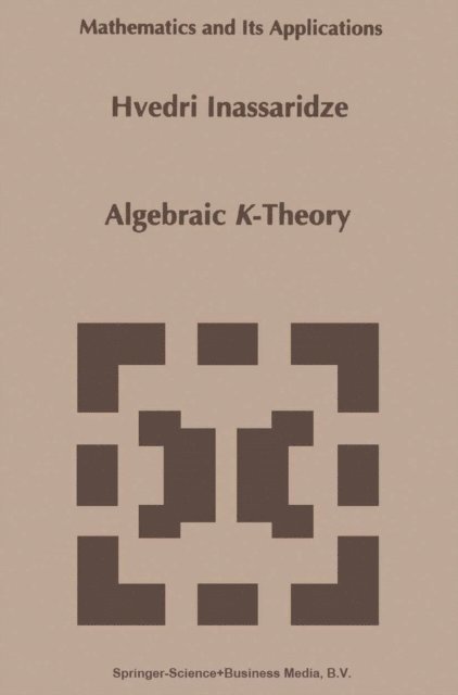 Hvedri Inassaridze - Algebraic K-Theory, E-bok