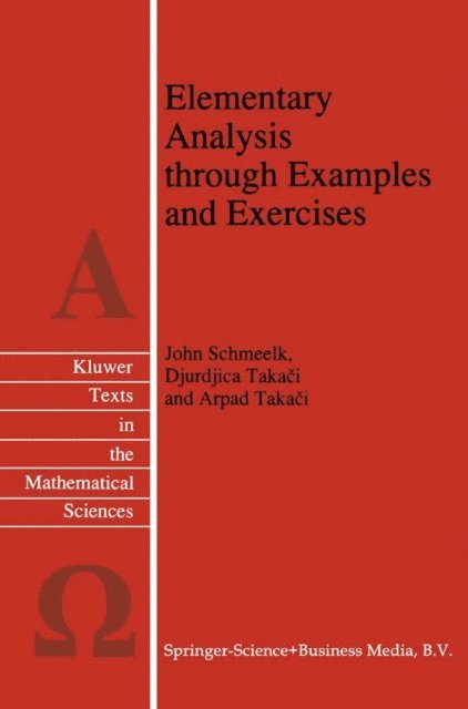 Arpad Takaci, Djurdjica Takaci, John Schmeelk - Elementary Analysis through Examples and Exercises, E-bok