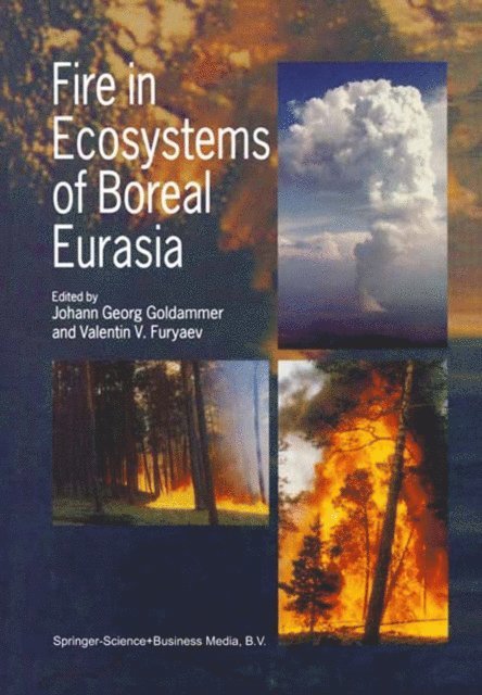 Valentin Furyaev, Johann Georg Goldammer - Fire in Ecosystems of Boreal Eurasia, E-bok