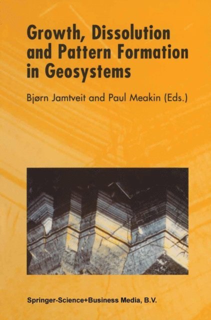 P. Meakin, B. Jamtveit - Growth, Dissolution and Pattern Formation in Geosystems, E-bok