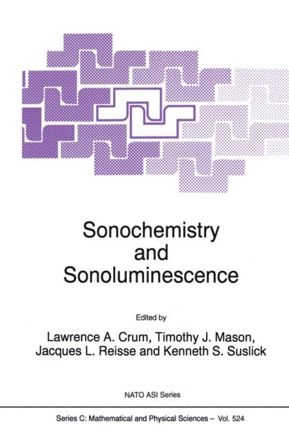 Kenneth S. Suslick, Jacques L. Reisse, Timothy J. Mason, L.A. Crum - Sonochemistry and Sonoluminescence, E-bok
