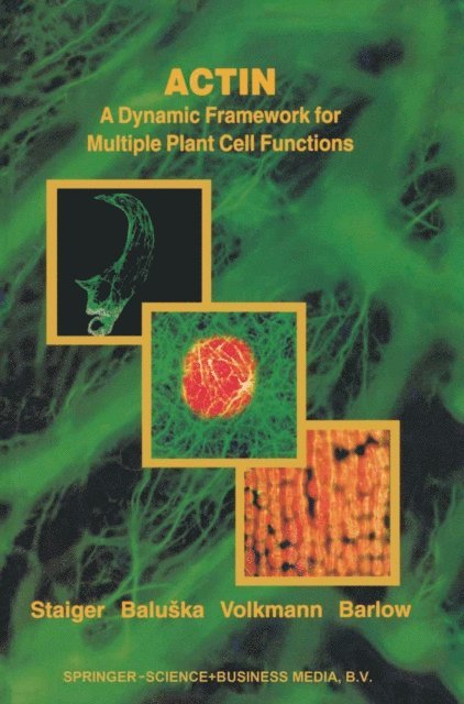 P. Barlow, D. Volkmann, Frantisek Baluska, Christopher J. Staiger - Actin: A Dynamic Framework for Multiple Plant Cell Functions, E-bok