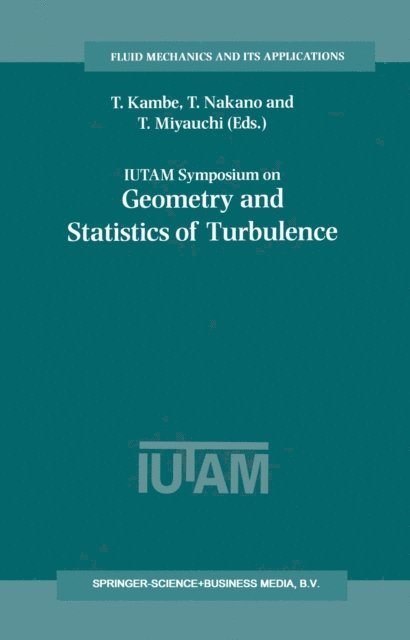T. Miyauchi, T. Nakano, T. Kambe - IUTAM Symposium on Geometry and Statistics of Turbulence, E-bok