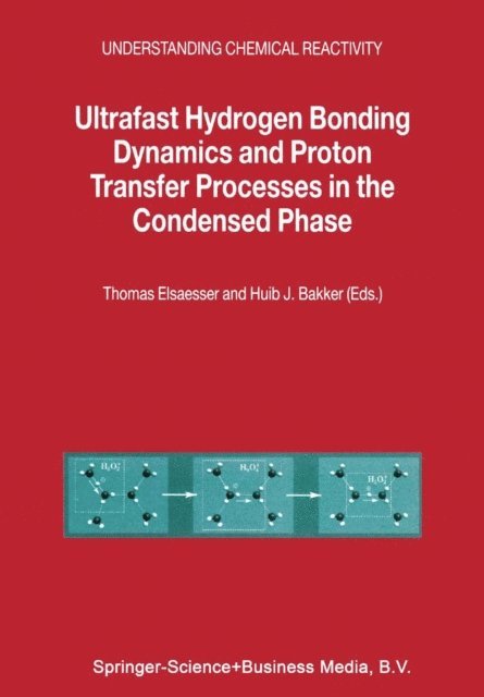 H.J. Becker, Thomas Elsaesser - Ultrafast Hydrogen Bonding Dynamics and Proton Transfer Processes in the Condensed Phase, E-bok