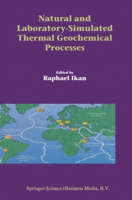 Raphael Ikan - Natural and Laboratory Simulated Thermal Geochemical Processes, E-bok