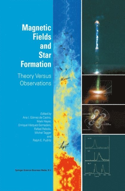 Ralph E. Pudritz, Michel Tagger, Rafael Rebolo, Enrique Vazquez-Semadeni, Mark Heyer, Ana I. Gomez de Castro - Magnetic Fields and Star Formation, E-bok