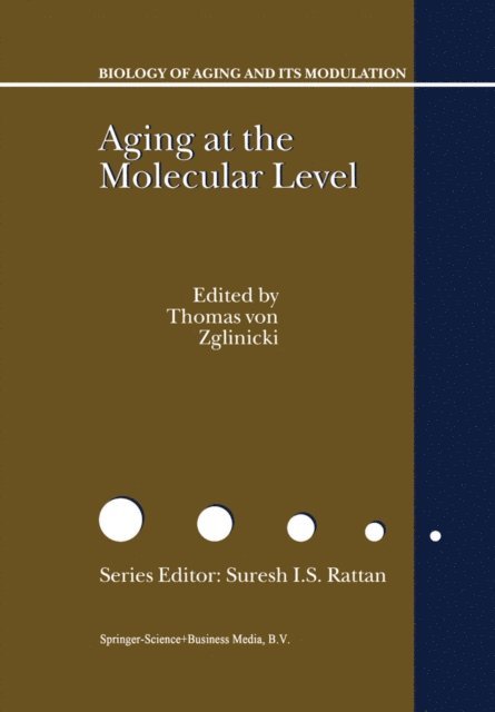 Thomas von Zglinicki - Aging at the Molecular Level, E-bok