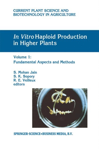 R.E. Veilleux, S.K. Sopory, S. Mohan Jain - In Vitro Haploid Production in Higher Plants, E-bok