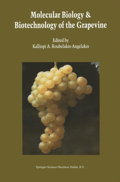 Kalliopi A. Roubelakis-Angelakis - Molecular Biology & Biotechnology of the Grapevine, E-bok