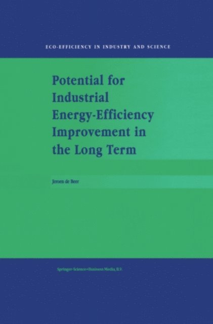 J. de Beer - Potential for Industrial Energy-Efficiency Improvement in the Long Term, E-bok