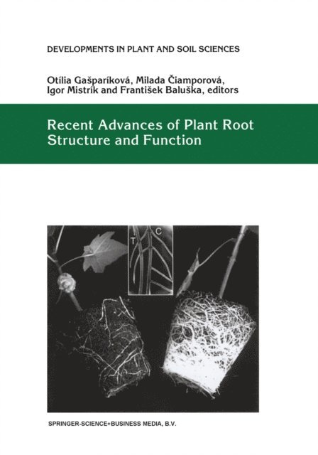 F. Baluska, Igor Mistrik, Milada Ciamporova, Otilia Gasparikova - Recent Advances of Plant Root Structure and Function, E-bok