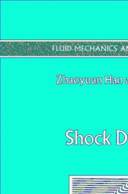 X. Yin, Z. Han - Shock Dynamics, E-bok