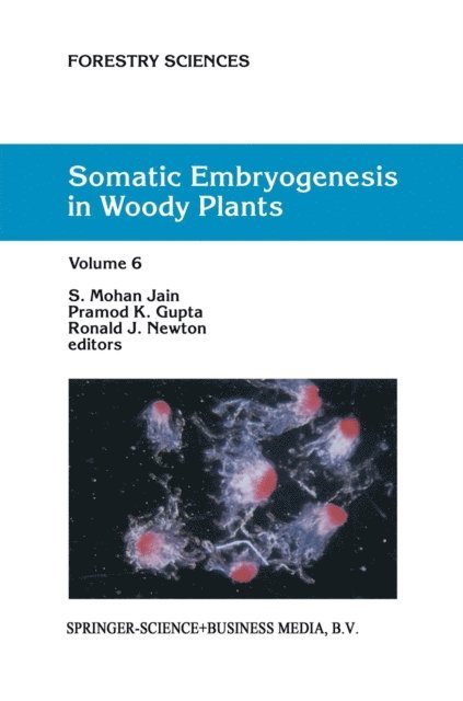 R.J. Newton, P.K. Gupta, S.M. Jain - Somatic Embryogenesis in Woody Plants, E-bok