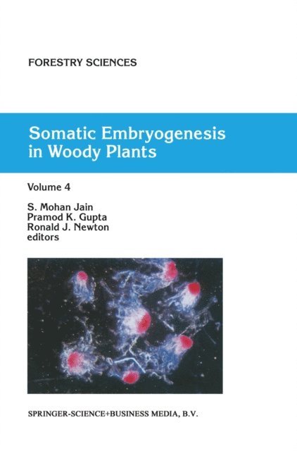 R.J. Newton, Pramod P.K. Gupta, S.M. Jain - Somatic Embryogenesis in Woody Plants, E-bok